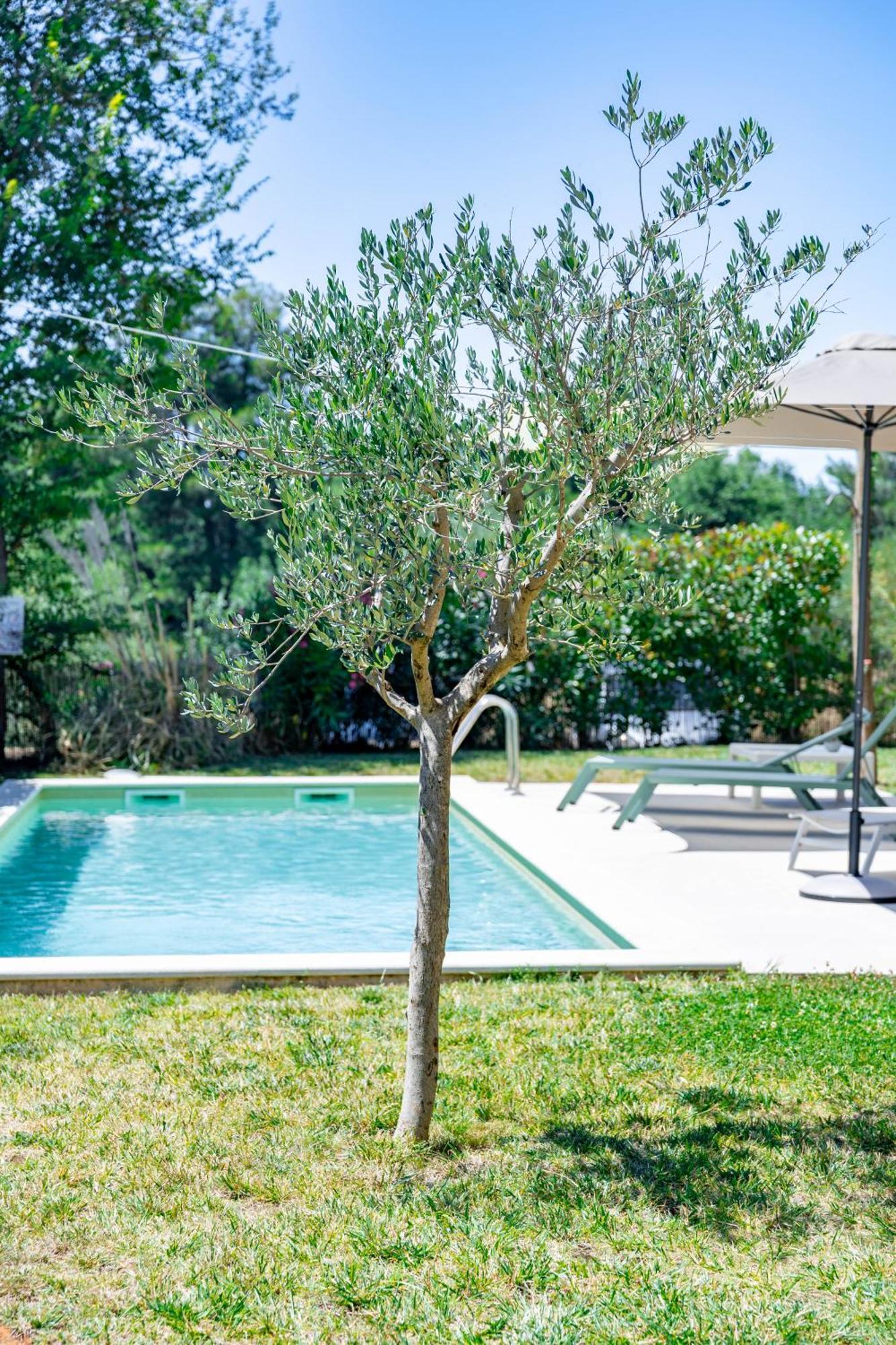 Villa Zen - With Pool & Close To The Sea Tar-Vabriga エクステリア 写真